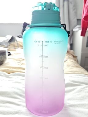 Ombre Aqua to Pink Large Water Bottle (Not Glass)